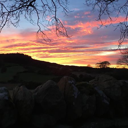 Slievemoyle Cottages Raholp Buitenkant foto