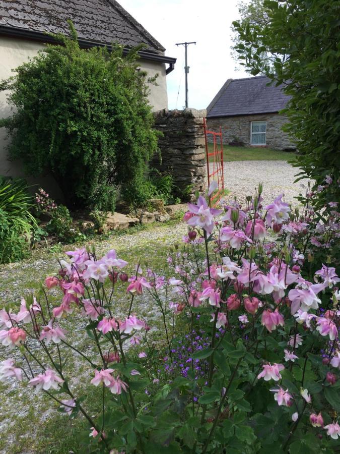 Slievemoyle Cottages Raholp Buitenkant foto