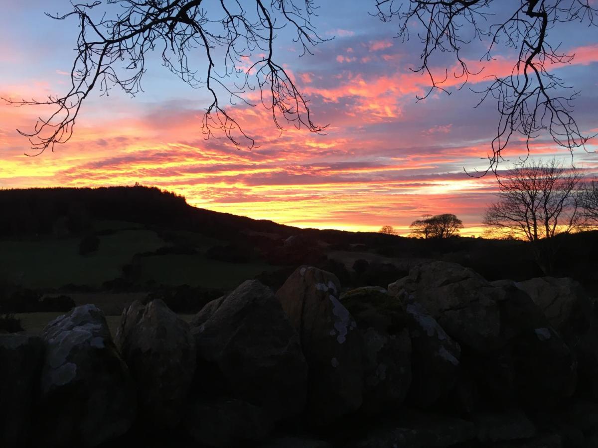 Slievemoyle Cottages Raholp Buitenkant foto