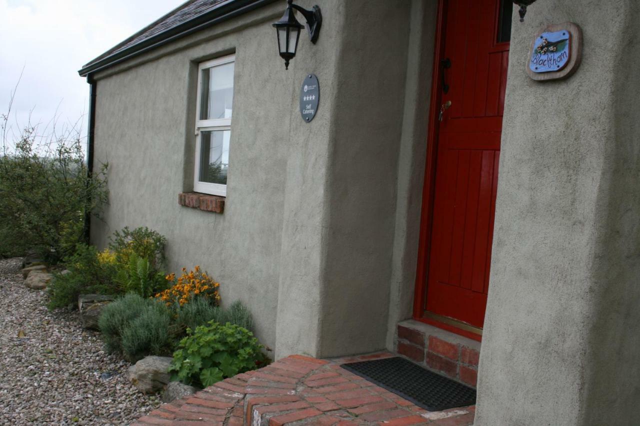 Slievemoyle Cottages Raholp Buitenkant foto